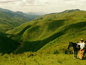 Paisaje de la Viña